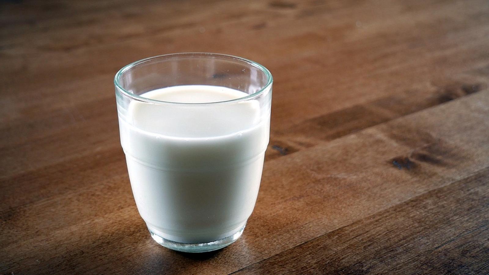 Le lait A2 plus facile à digérer ? Pas prouvé